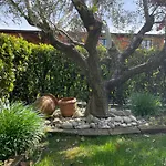 דירה Gardasole 45 Piscina, Giardino E Lido A Piedi