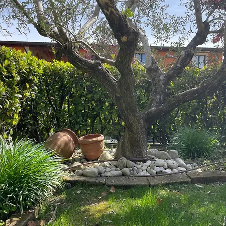 Διαμέρισμα Gardasole 45 Piscina, Giardino E Lido A Piedi